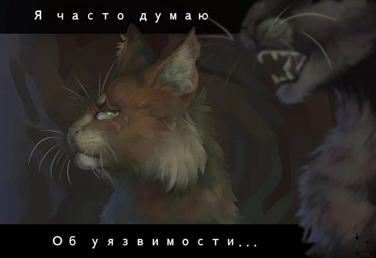 Кэтвар боты. Кэтвар. кэтвар стрелка. боты в племени теней кэтвар.