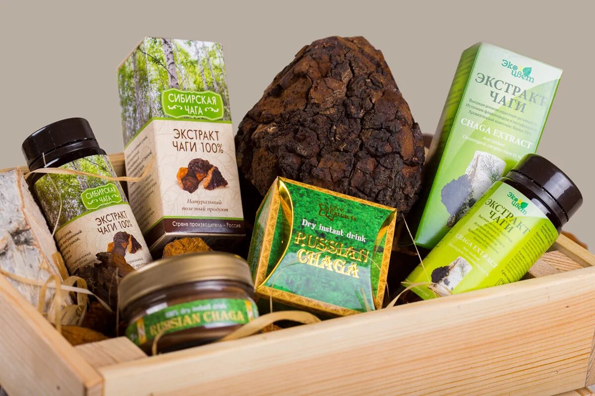 Чага лиственницы. Трава чага. Чага в капсулах купить. Чага гриб 50г {красногорсклексредства. Чага алтайские травы 50 г.