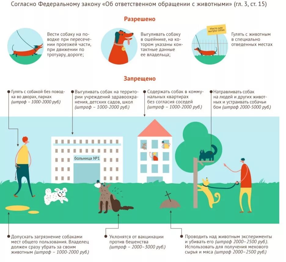 Где нельзя гулять. Правила выгула собак. Закон о выгуле собак. Правила содержания собак. Правила содержания домашних животных.