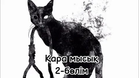 Қысқа көйлек, мысық көрінетін фото