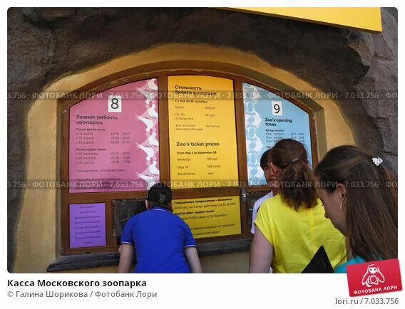 Зоопарк айдентика. Московский зоопарк билеты со скидкой. Айдентика московского зоопарка. Территория московского зоопарка. Московский зоопарк билеты со скидкой.