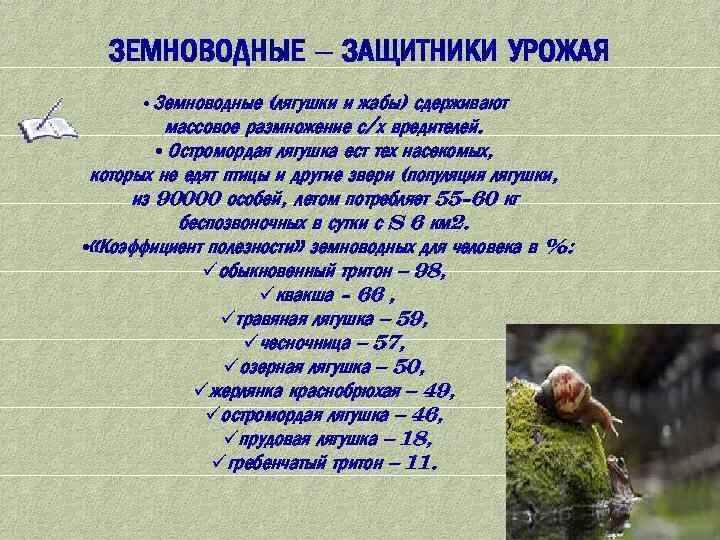 Незаметные защитники урожая. Защитники урожая 4 класс доклад. значение амфибий в природе и для человека. насекомые защитники урожая.
