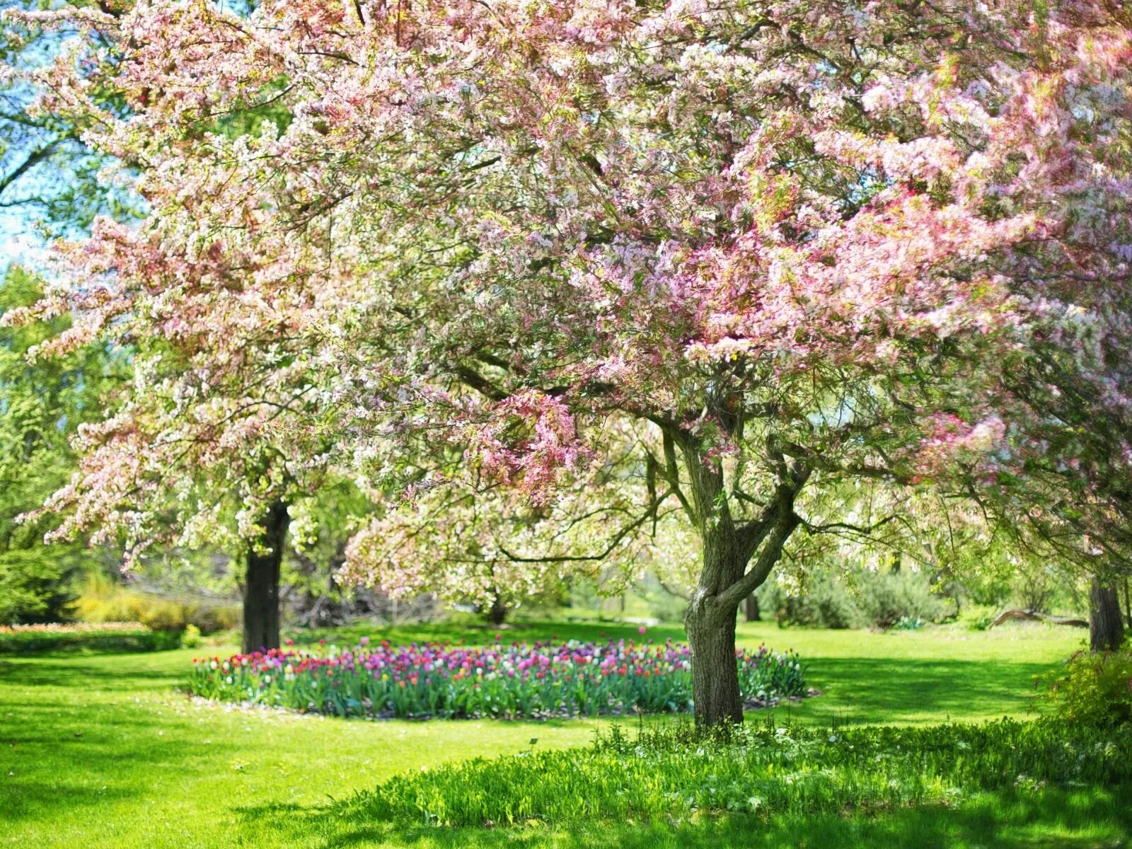 When spring