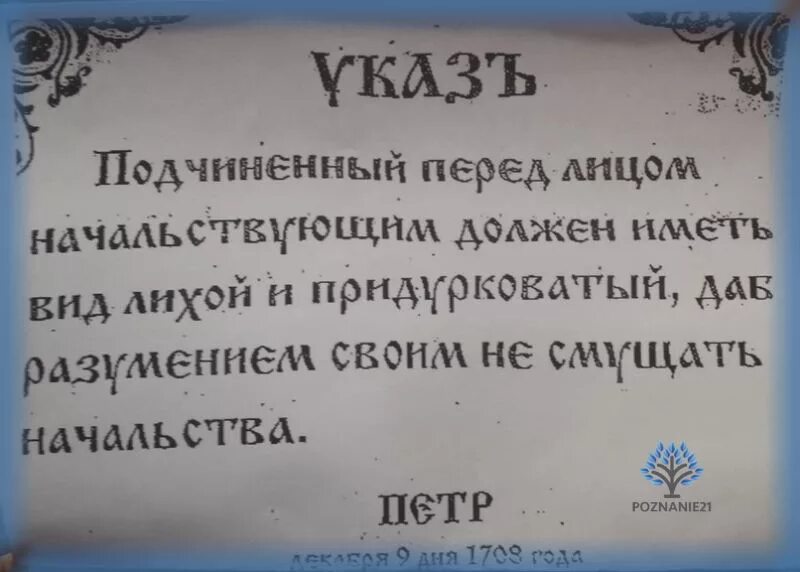 Указ Петра 1 вид лихой и придурковатый. Указ Петра первого вид придурковатый. Указ Петра 1 о подчиненных перед лицом начальствующим. Указ Петра 1 подчиненный должен. Иметь вид лихой и