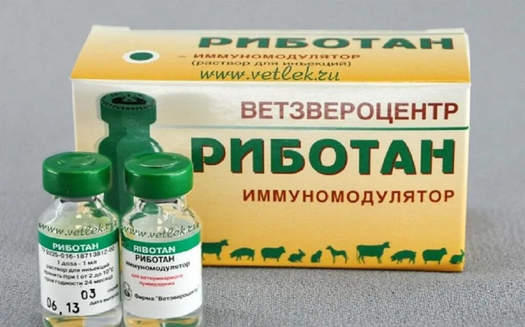 Иммуномодулятор это. Риботан. риботан для кошек. иммуномодулятор для собак риботан. иммуномодулирующие препараты ветеринарный.