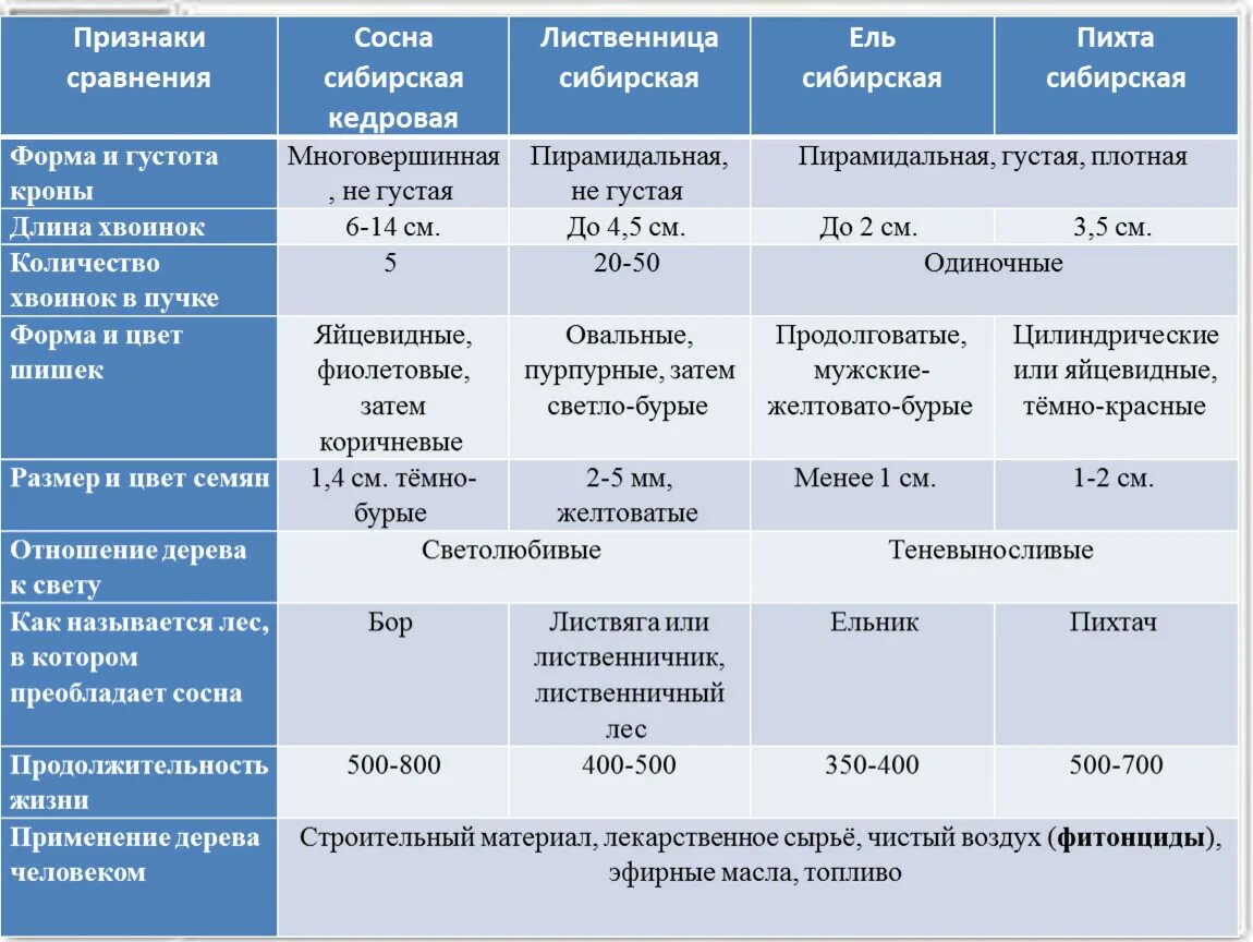 Сравнение ели и сосны таблица. Таблица признаки сосна ель. Таблица сосна ель лиственница. Таблица сравнительная характеристика хвойных. Таблица хвойных