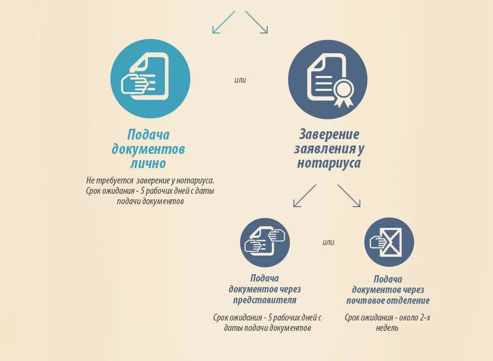 Какие документы для подачи ип. Подача документов картинка. Удаленная регистрация ИП. Способы подачи документов. Подача документов почтой.