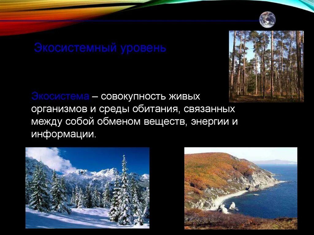 Тест экосистемный уровень 9 класс. Экосистемный уровень. Экосистемный уровень жизни. Экосистемный уровень организации. Экосистема уровень организации жизни.