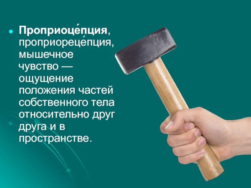 Чувство положения тела в пространстве