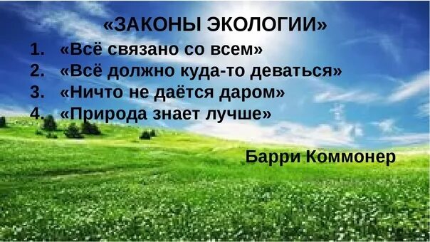 Закон экологического класса. Законы экологии. закон об экологии картинка. экологические законы природы. природа не прощает ошибок классный час.