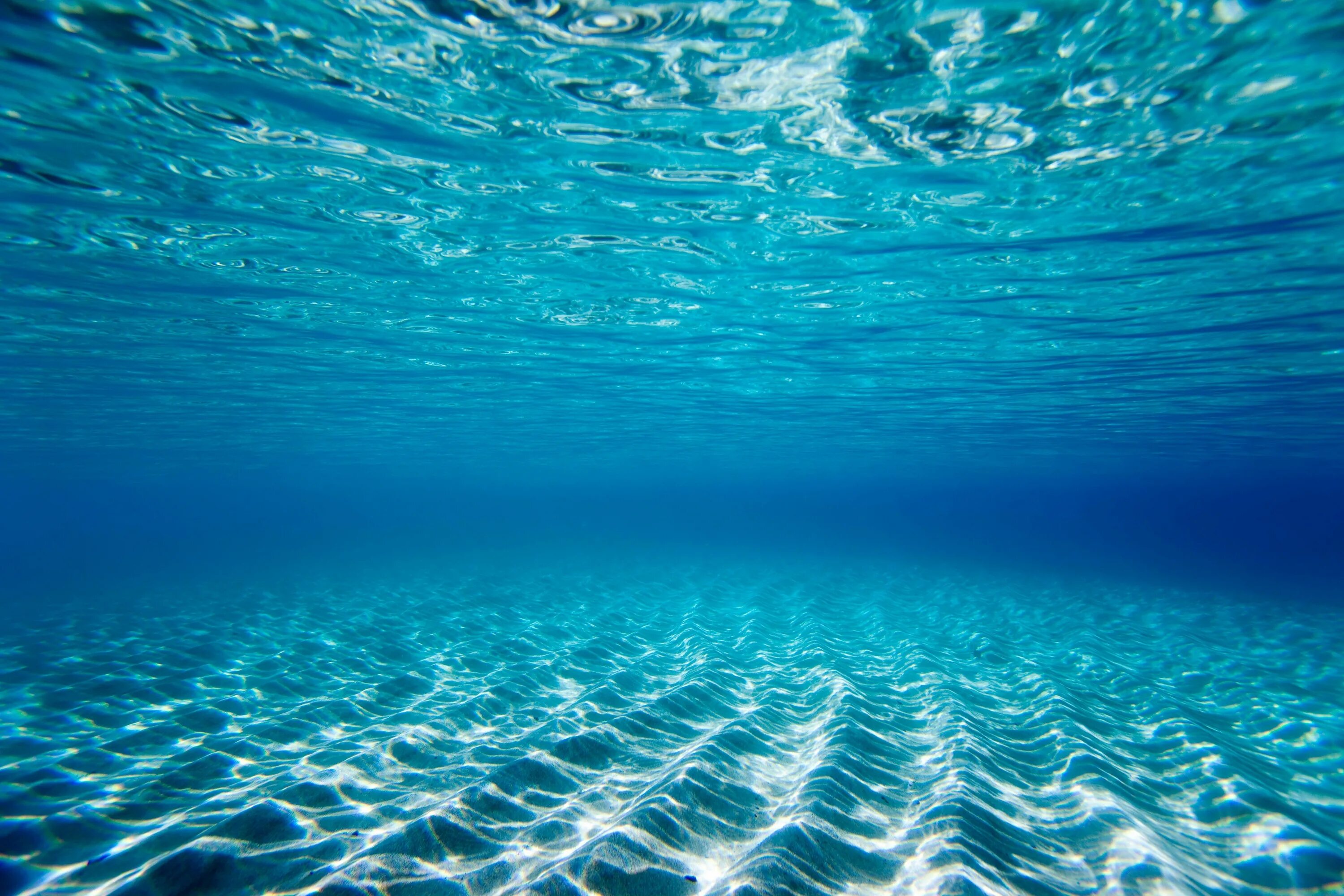 Толща воды в океане. Океан под водой. Дно океана. Море под водой. Море вода.