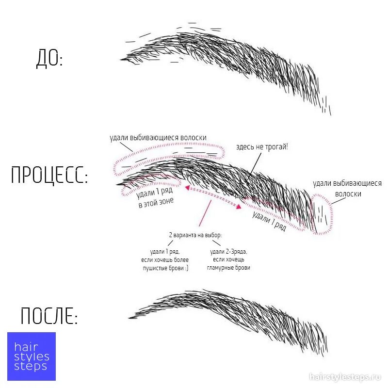 Правильное выщипывание бровей схема. Схема покраски бровей правильно. Коррекция бровей пинцетом схема. Схема выщипывания бровей пинцетом. План бровиста
