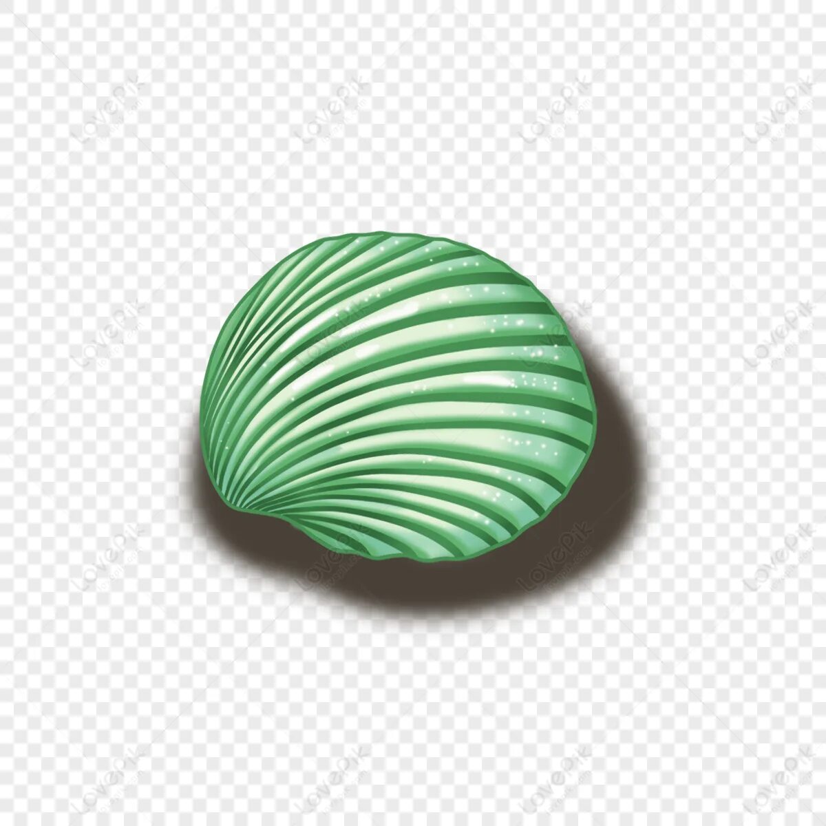 Green shell. Зеленая ракушка. зеленые оболочки.. green shells.
