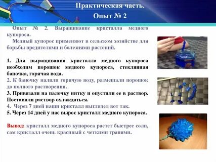 Опыт выращивания
