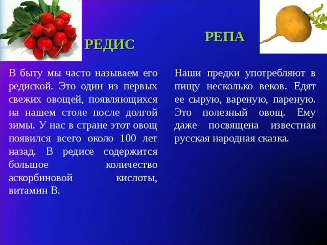 Полезные витамины в редиске. Редис витамины. В редиске есть витамин. Какие витамины содержатся в редисе. Редиска польза и вред для организма