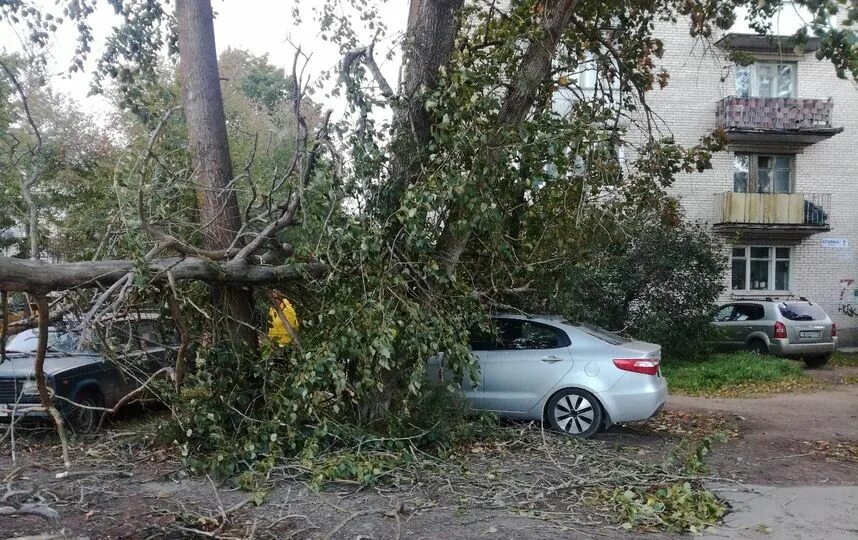 Погода в большой ижоре. Большая Ижора Ленинградская область. Погода большая Ижора. Арсенал большая Ижора. Погода в большой Ижоре на сегодня.