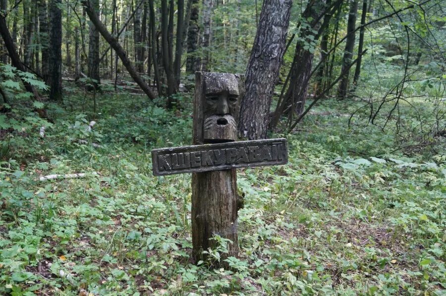 Эрзянское священное урочище кереметь. Священная роща. Мистические места беларуси. Священные урочища. Что такое каменная баба в хмао.