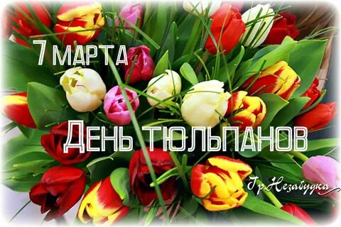 День тюльпанов 2024 год