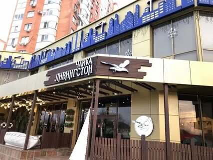 Чайка ливингстон краснодар