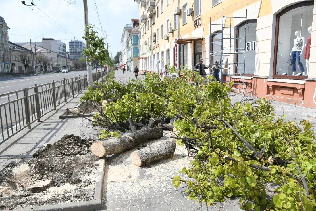 в туле на следующей неделе