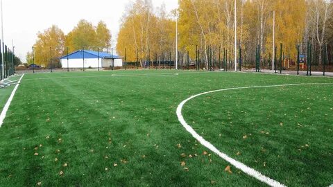 Поле тюмень