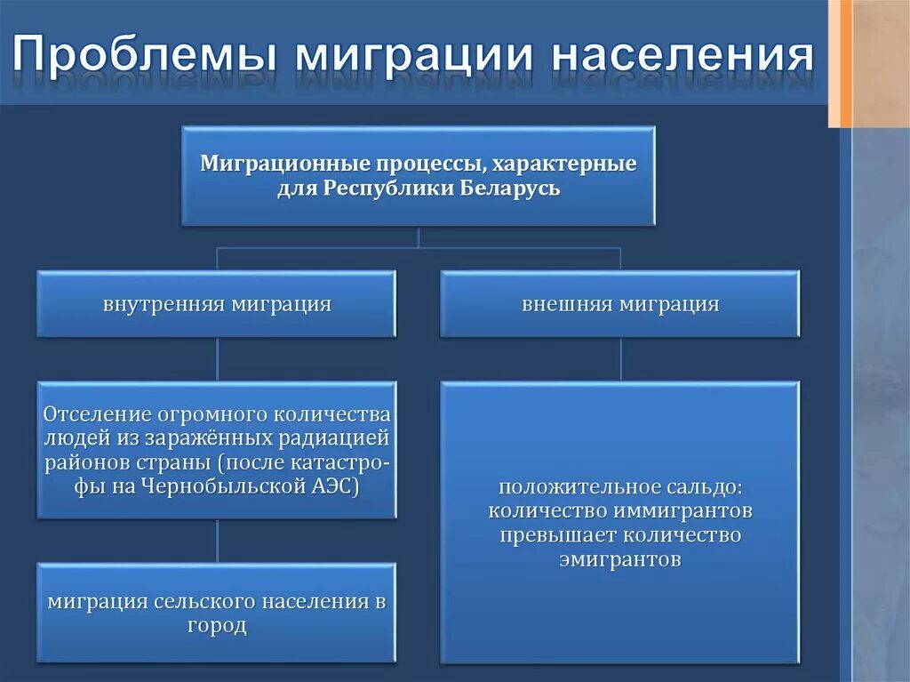 Проблемы миграции. Социальные процессы в миграции. Основные проблемы миграции. Проблемы международной миграции.