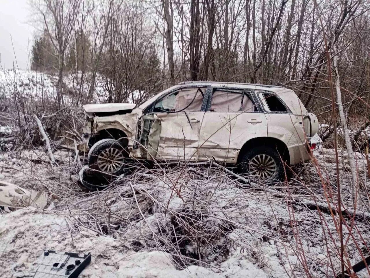 Медведь в Никольском районе. Авария Никольский район. Авария никольское