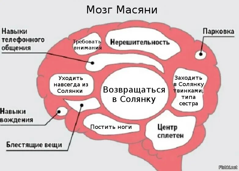 Мозг женщины. Мужской и женский мозг. Мозг мужчины и мозг женщины. Мышление мужчины женщины