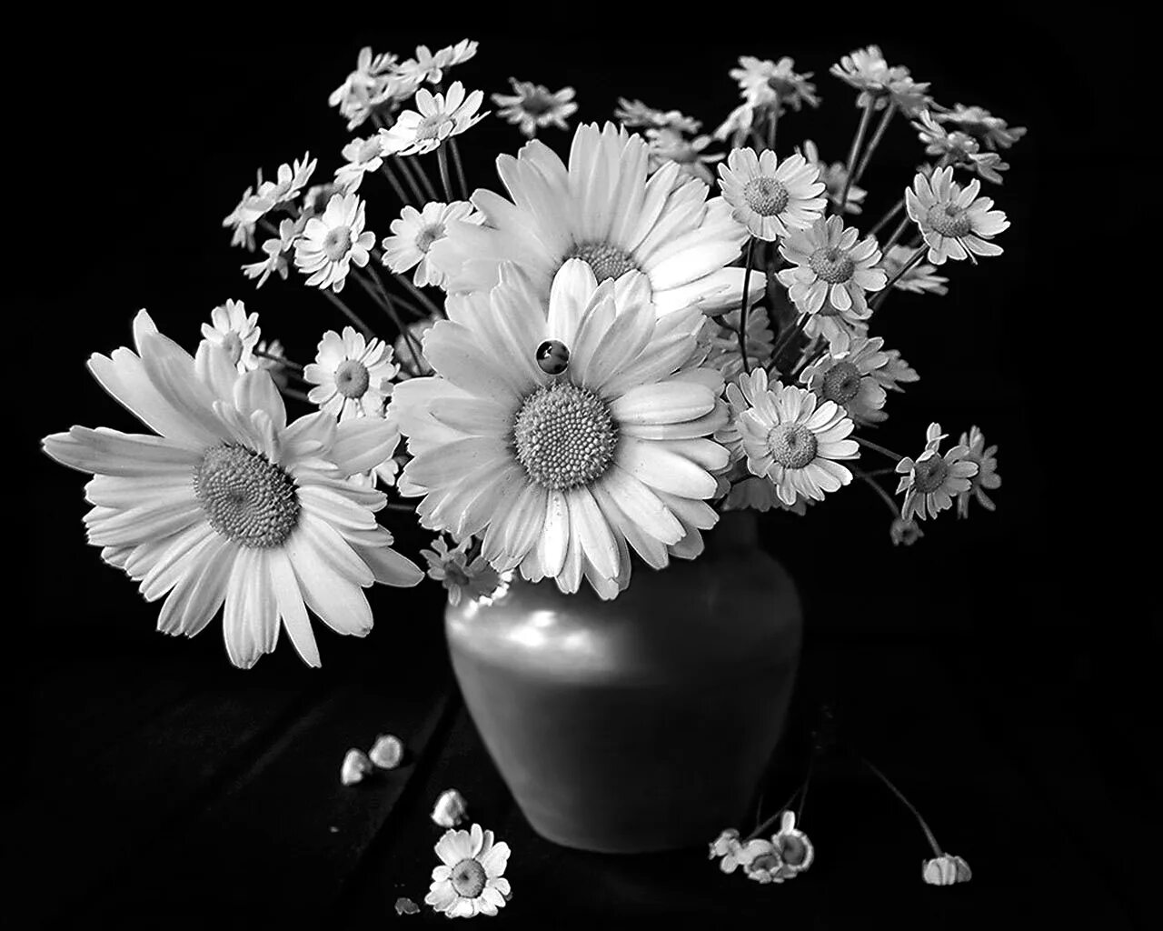 памятник рисунок. цветы на памятнике гравировка. ромашки ретушь. цветы на памятнике гравировка. ромашки гравировка.