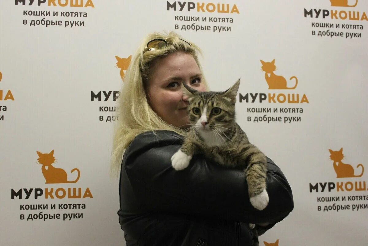 Центр помощи кошкам муркоша