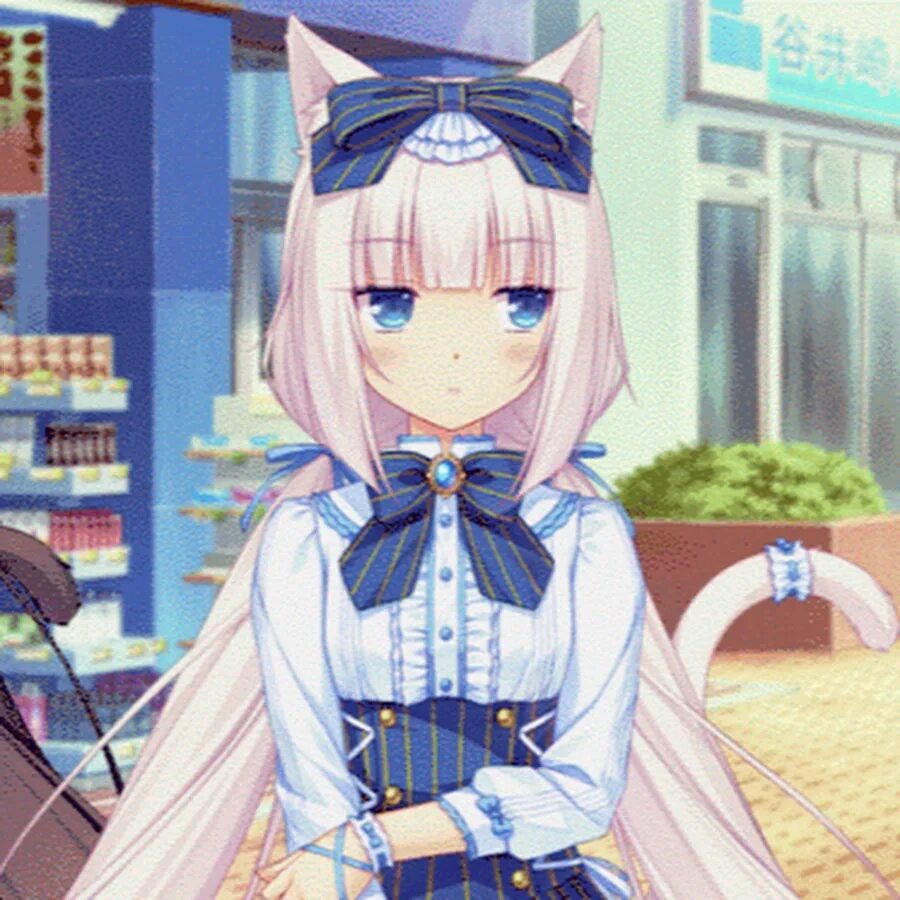 Ванилла некопара. Некопара Ванилла гиф. Кошачий рай Nekopara. Чокола Минадзуки.