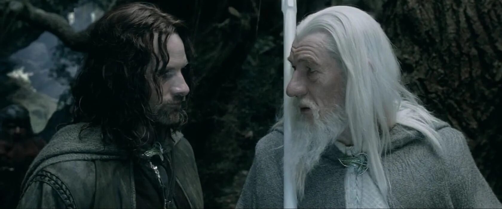 Властелин колец гэндальф и арагорн. Властелин колец 2002. Властелин колец две крепости фильм 2002 гэндальф. Властелин колец: две крепости (2002). Властелин колец братство кольца две крепости.