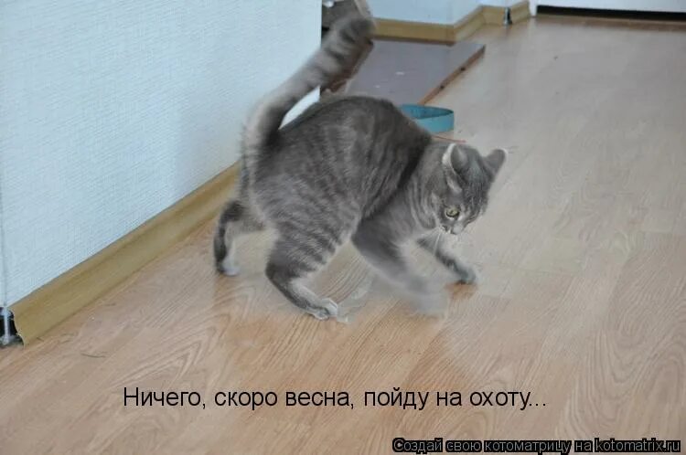 Ничего скоро. Не будет ничего, сплошное телевидение. Ничего скоро. Приезжай согреемся мем. Ничего не будет одно телевидение.