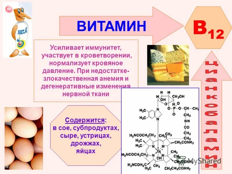 Уроки биологии витамины