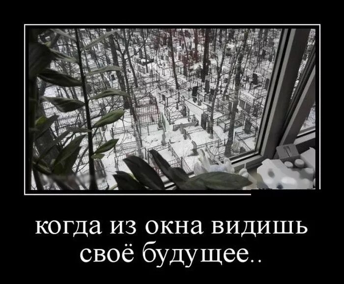 Я не вижу своего будущего