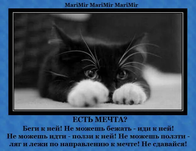 Идешь идти бежишь бежать ползешь ползти. Лежи в направлении. В направлении мечты. Лежи в направлении цели. Лежать по направлению к цели.