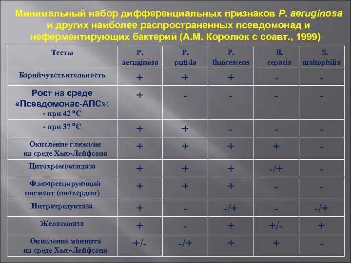 Биохимические свойства бактерий таблица. Синегнойная инфекция дифференциальная диагностика. Таблица биохимической активности бактерий. Pseudomonas aeruginosa биохимические свойства. Сахаролитическая активность бактерий