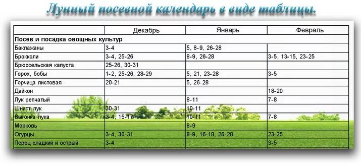 Посадочные дни в апреле огурцы на рассаду. Посадочные дни огурцов в мае. Посадочные дни для огурцов на рассаду. Посадка огурцов на рассаду в мае.