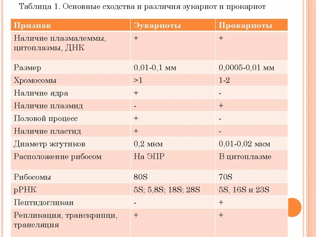 Сходства и различия эукариот. Отличие эукариот прокариот эукариот отличие. Отличие ДНК эукариотов от прокариотов. Прокариоты и эукариоты различия. Сходство строения прокариот и эукариот.