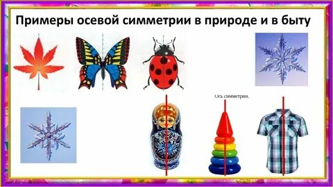 Оси жизни