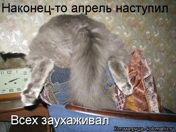 Скоро начнется апрель. Весенние цветы. День дурака приколы. Скоро начнется апрель. Весенние открытки.