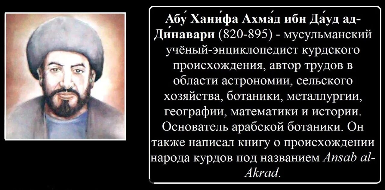 Имама что означает. Абу Ханифа ад-Динавари. Абу Ханифа Нуман ибн Сабит. Труды имама Абу Ханифа. Ибн Абу Дауд.