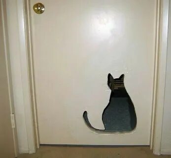 Cat hole
