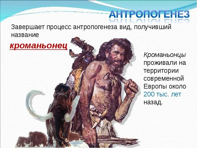 Стадия кроманьонца в эволюции человека соответствует. Антропогенез это процесс. антропогенез древнейшие люди. эволюция антропогенеза. развитие человека антропогенез.