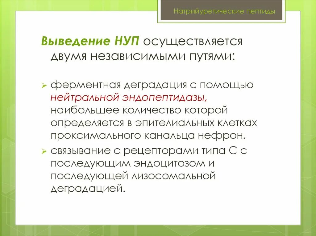 Анализ натрийуретический пептид 32 мозга. Натрийуретические пептиды. Натрийуретический пептид ХСН. Нуп натрийуретический пептид. Промозговой натрийуретический пептид это.