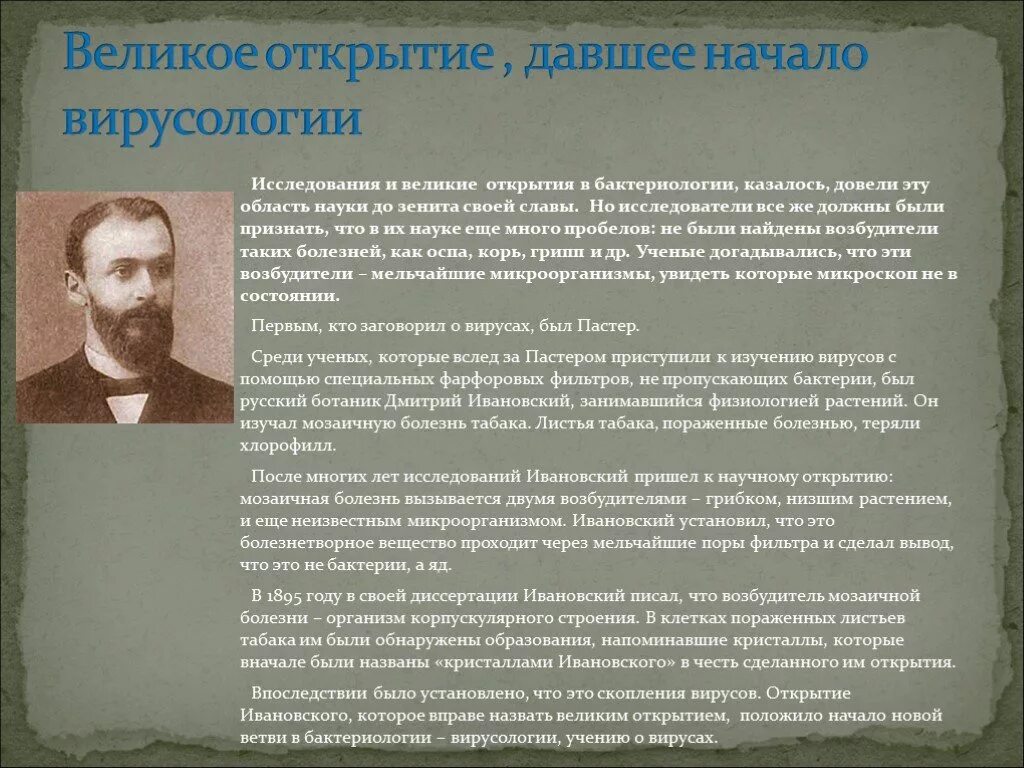 Кто открыл вирусы кратко. Д. Ивановский – основоположник вирусологии. Ивановский ученый открытия. Ивановский основоположник вирусологии.