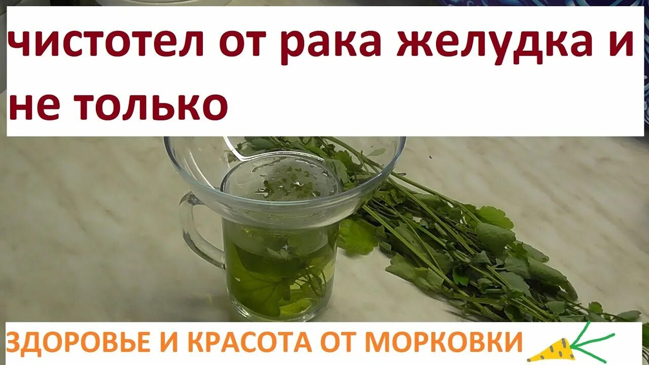 Лечение рака в домашних условиях