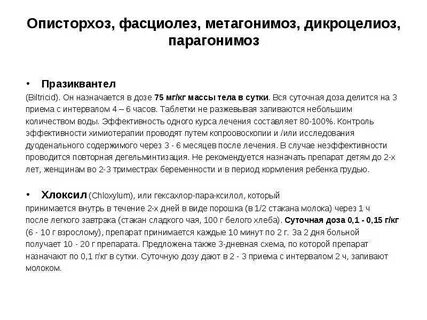 Лямблии и описторхоз