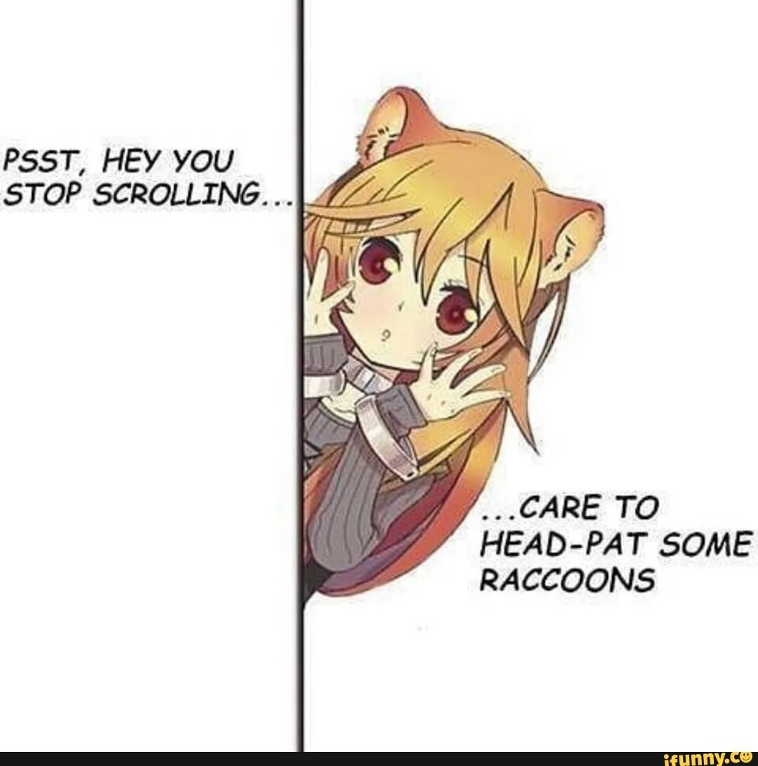 Stop scrolling