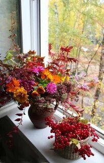 Погожим сентябрьским утром